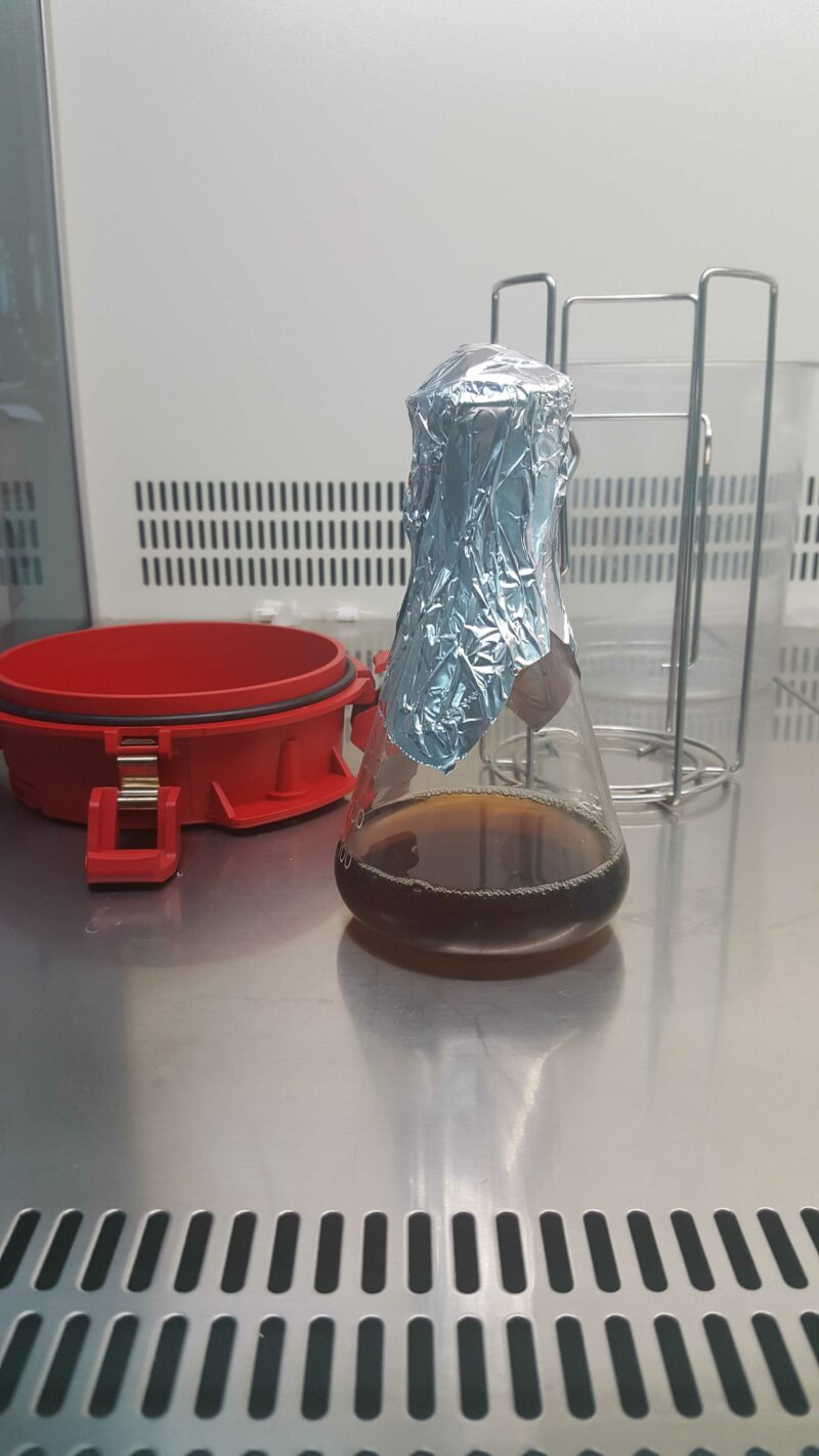 Fotografía de la incubación de las bacterias con el zumo de naranja en un laboratorio.