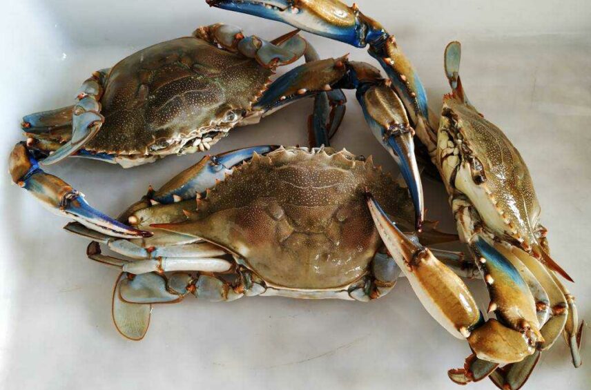 Fotografía ilustrativa del evento