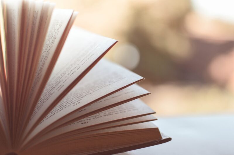 libro literatura poesía