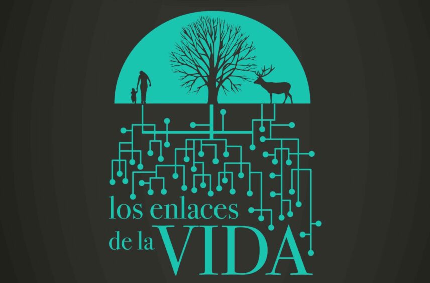 Fotografía ilustrativa del evento