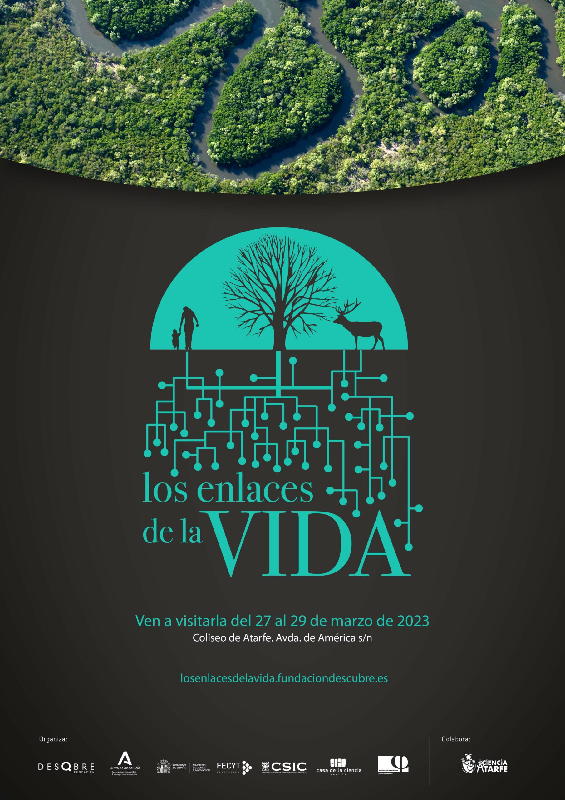 Fotografía ilustrativa del evento