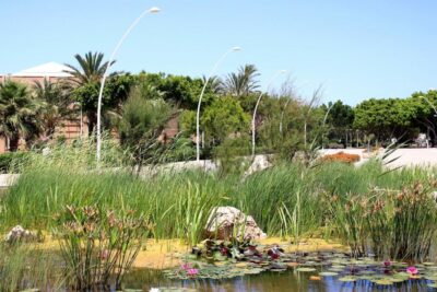 Jardines UAL