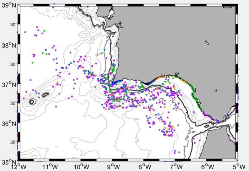  Trayectoria del desplazamiento de los microplásticos en el golfo de Cádiz.