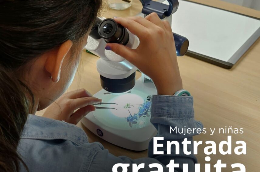 Fotografía ilustrativa del evento