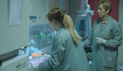 Fotografía ilustrativa del evento