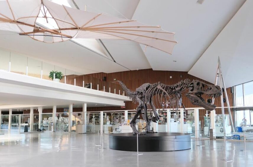 Fotografía ilustrativa del evento