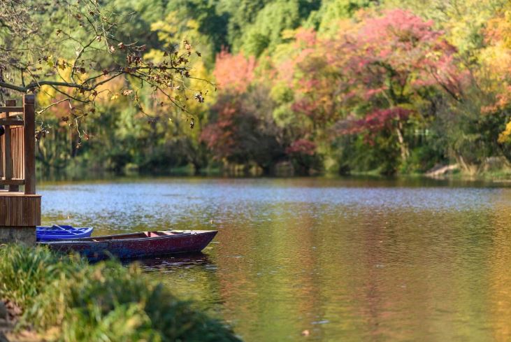 Fotografía ilustrativa del artículo