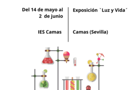 Fotografía ilustrativa del evento