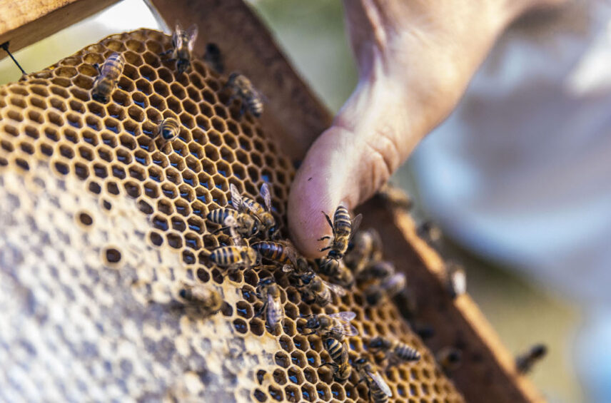 Fotografía ilustrativa de la noticia