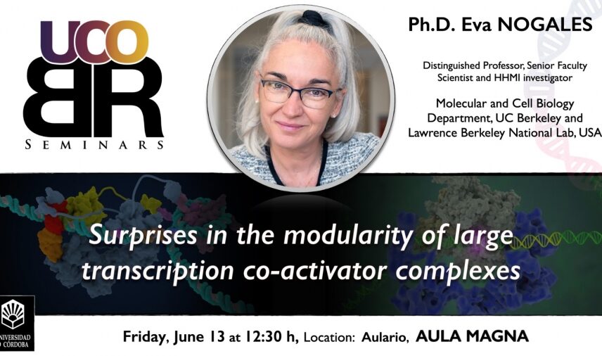 Fotografía ilustrativa del evento