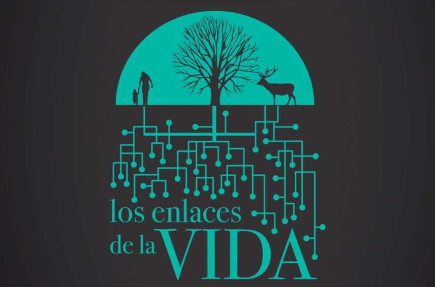 Fotografía ilustrativa del evento