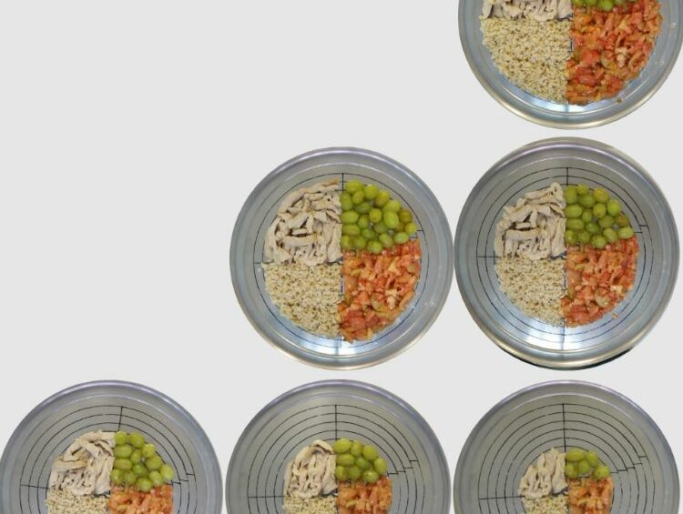 Fotografía ilustrativa del artículo