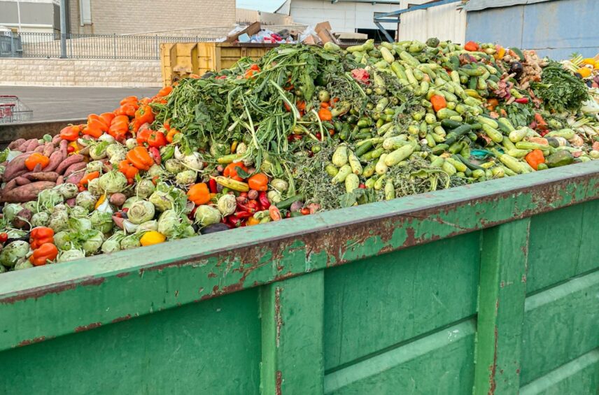 Fotografía ilustrativa del artículo