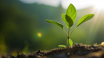 Fotografía ilustrativa del artículo