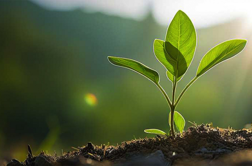 Fotografía ilustrativa del evento