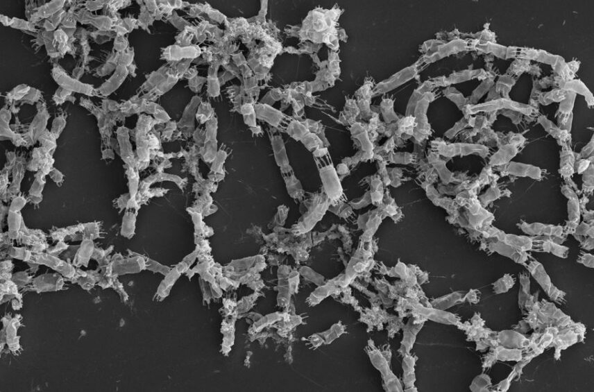 Fotografía ilustrativa de la noticia