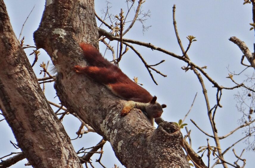 Fotografía ilustrativa del artículo