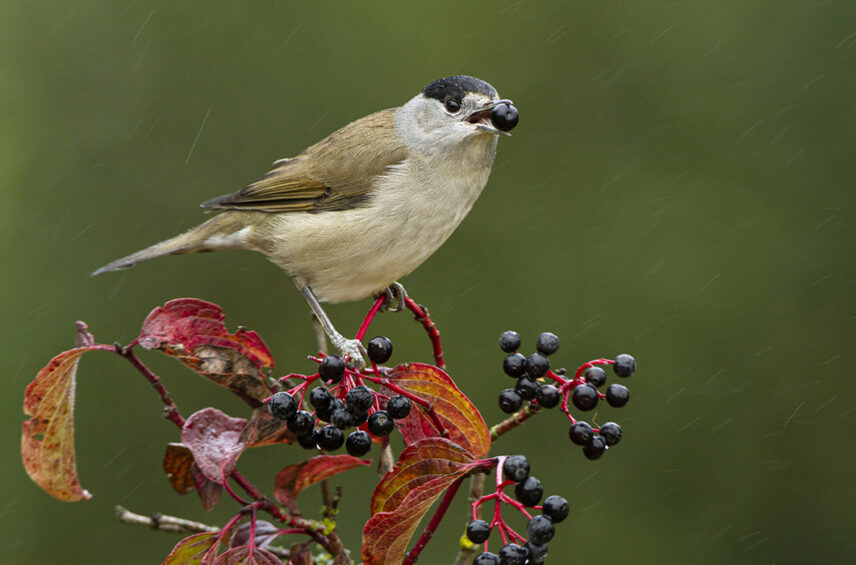 Fotografía ilustrativa del artículo