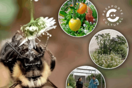 Fotografía ilustrativa del evento