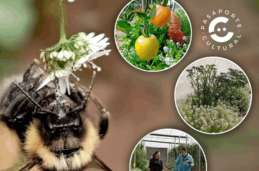 Fotografía ilustrativa del evento