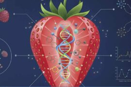 Fotografía ilustrativa del evento