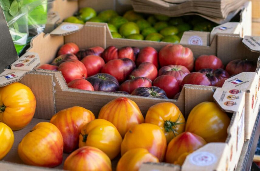 Fotografía ilustrativa del artículo