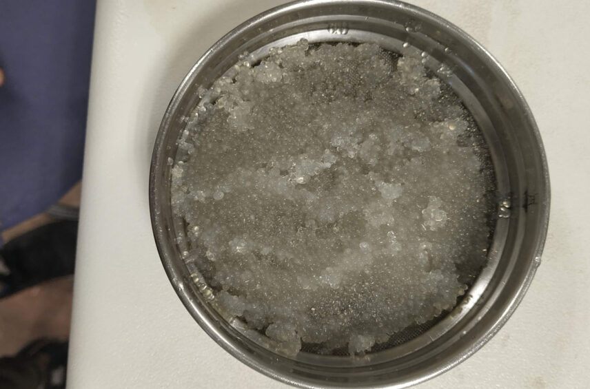 Fotografía ilustrativa del artículo