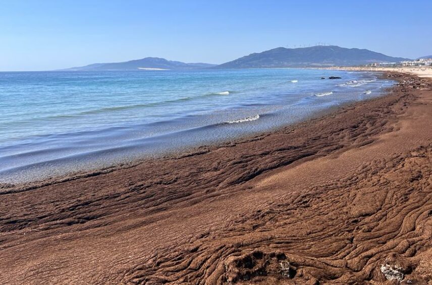 Fotografía ilustrativa del artículo