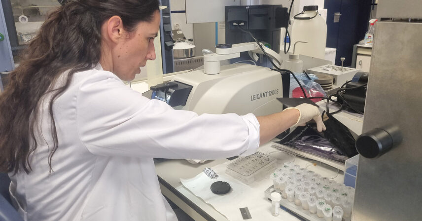 Fotografía ilustrativa del artículo