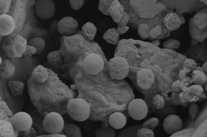 Fotografía ilustrativa del artículo