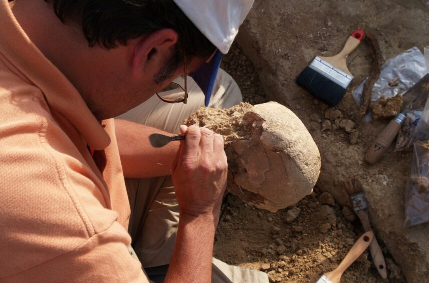 Fotografía ilustrativa del artículo