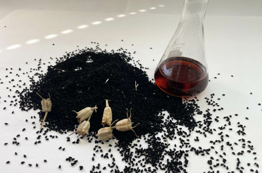 Fotografía ilustrativa del artículo