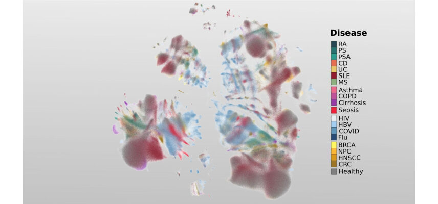 Fotografía ilustrativa del artículo