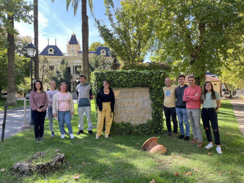 Grupo de investigación MycoStress