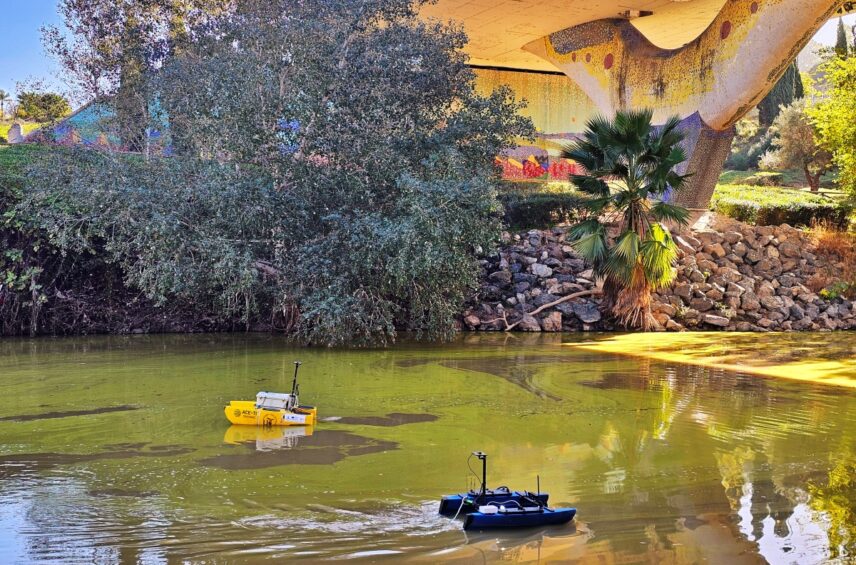 Fotografía ilustrativa del artículo