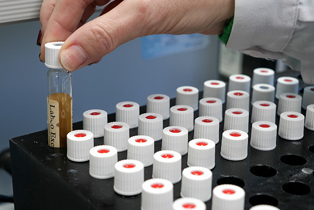 Fotografía ilustrativa del artículo