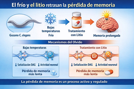 Fotografía ilustrativa del artículo