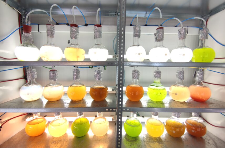 Fotografía ilustrativa del artículo