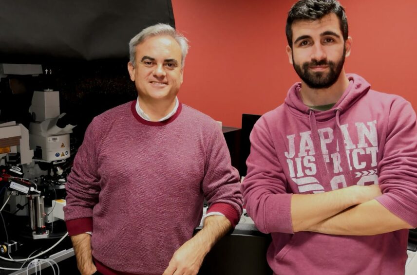 Fotografía ilustrativa del artículo