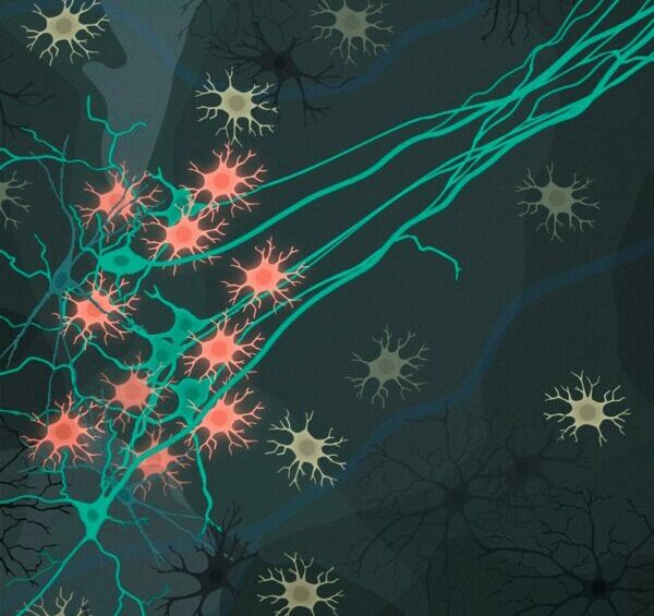 Fotografía ilustrativa del artículo