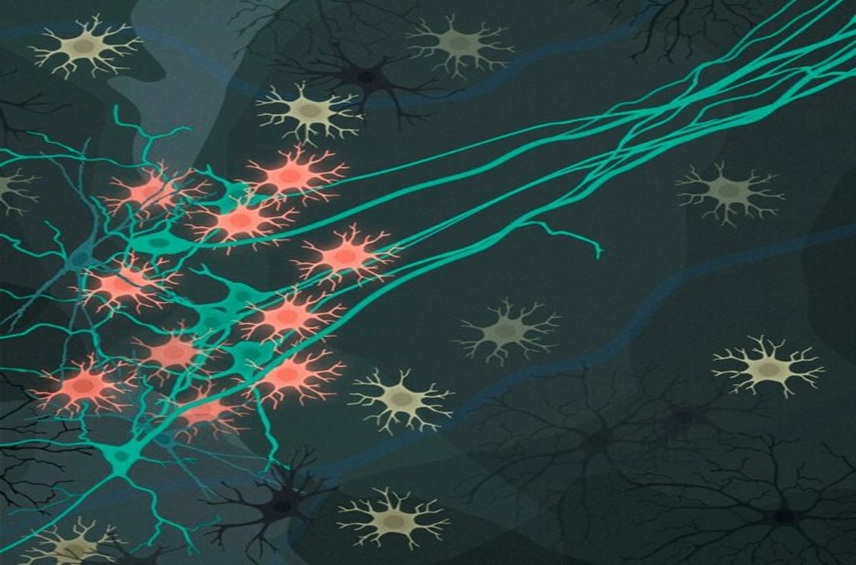 Fotografía ilustrativa de la noticia