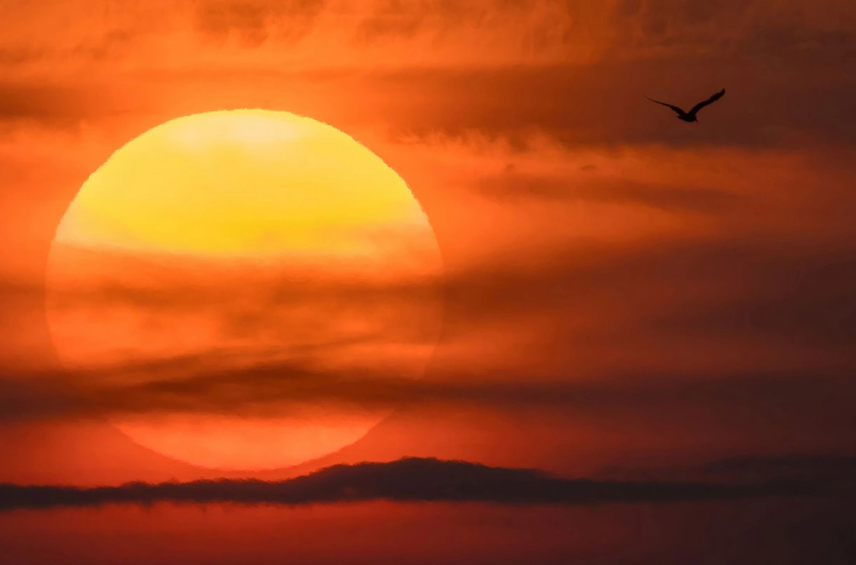 Fotografía ilustrativa del artículo