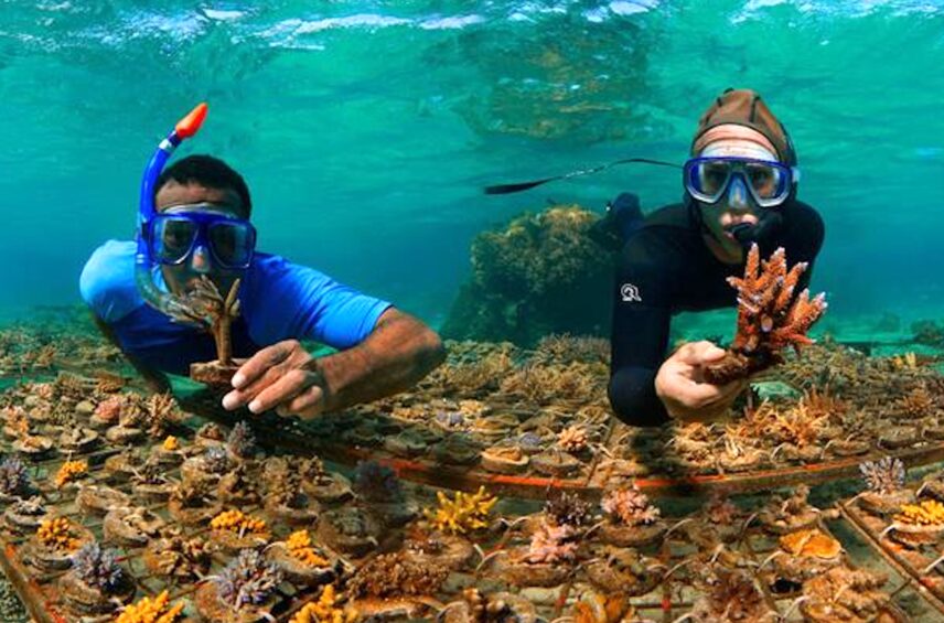 Fotografía ilustrativa del artículo