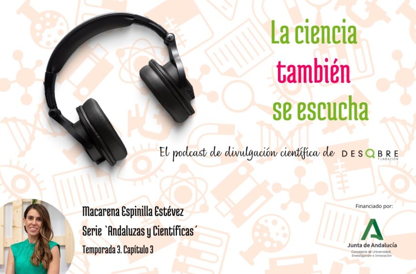 Fotografía ilustrativa del artículo