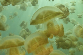 Fotografía ilustrativa del evento