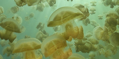 Fotografía ilustrativa del evento