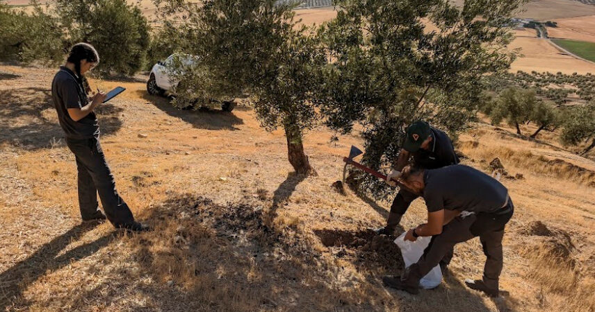 Fotografía ilustrativa del artículo