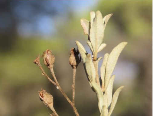Fotografía ilustrativa del artículo
