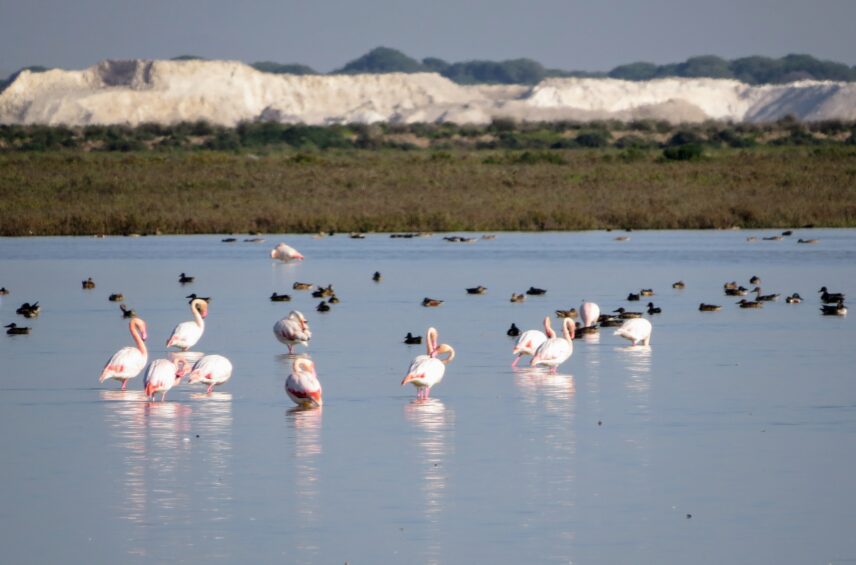 Fotografía ilustrativa del artículo