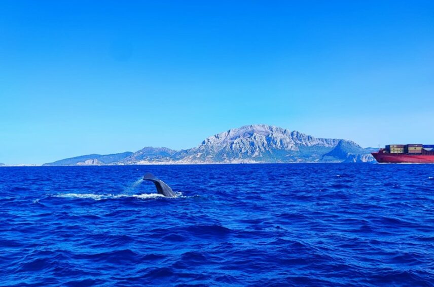 Fotografía ilustrativa del artículo